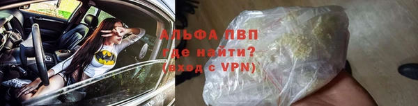 PSILOCYBIN Белокуриха