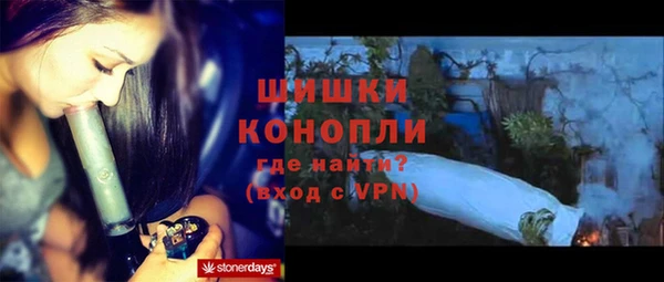 PSILOCYBIN Белокуриха