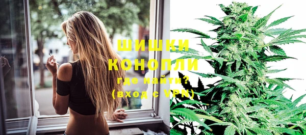 PSILOCYBIN Белокуриха