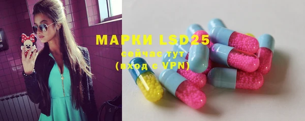 PSILOCYBIN Белокуриха