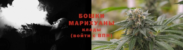 PSILOCYBIN Белокуриха