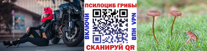 Псилоцибиновые грибы Magic Shrooms  блэк спрут как зайти  Клин 